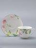Чашка с блюдцем чайная форма Весенняя-2 рисунок Сад мечты